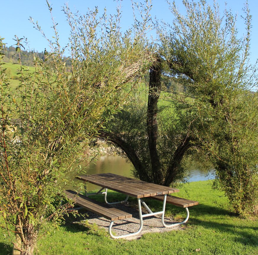 Weidenstruktur auf Spielplatz